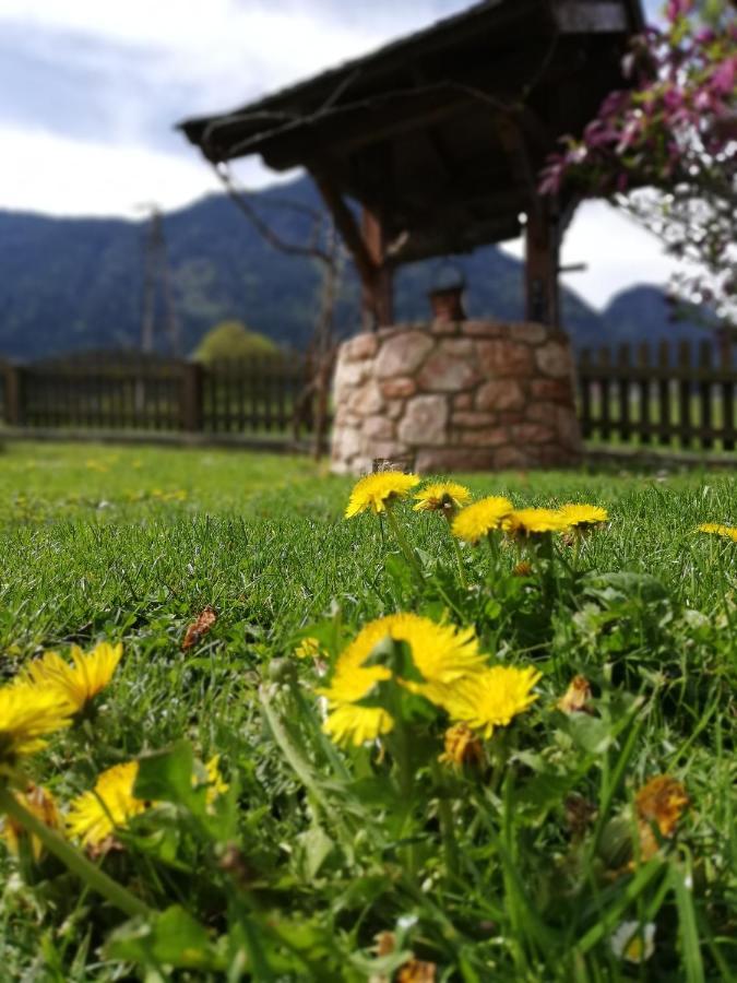 Hotel Gastehaus Midi Reith im Alpbachtal Exterior foto